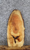 Thumbnail for Locust Live Edge Charcuterie/End Table Slab 5058