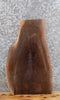 Thumbnail for Live Edge Black Walnut Taxidermy Mount/End Table Top Slab 5065