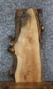 Thumbnail for Live Edge Ash End/Side Table Top Slab 5065