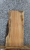 Thumbnail for Spalted Maple Live Edge Shelf/End Table Slab 5066
