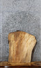 Thumbnail for Maple Live Edge End Table Slab 5067