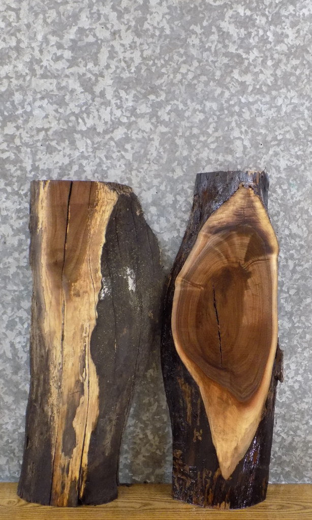 2- Live Edge Black Walnut DIY Charcuterie Boards/Slabs CLOSEOUT 5068-5069