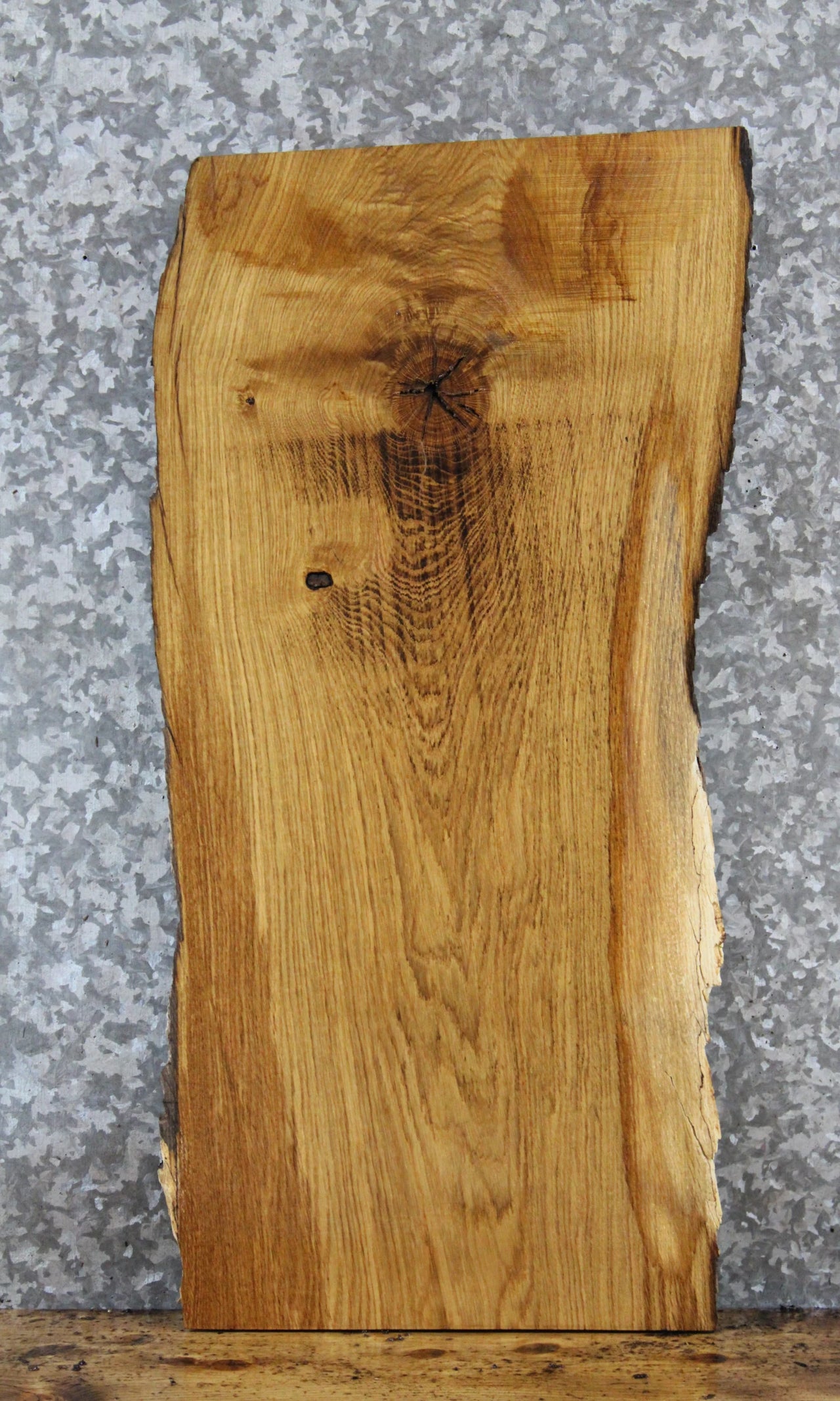 Live Edge Ash Taxidermy Mount/Side Table Slab 5069