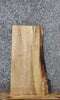 Thumbnail for Spalted Maple Live Edge End Table Top Slab 5070