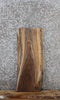 Thumbnail for Black Walnut Live Edge Charcuterie/End Table Slab 5071