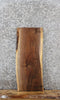 Thumbnail for Black Walnut Live Edge Charcuterie/End Table Slab 5071