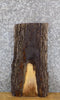 Thumbnail for Live Edge Black Walnut End/Entry Table Top Wood Slab CLOSEOUT 5073