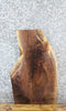 Thumbnail for Live Edge Black Walnut Side/End Table Top 5073