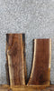 Thumbnail for 2- Live Edge Black Walnut Side Table Top/Wall Shelf Slabs 5074-5075