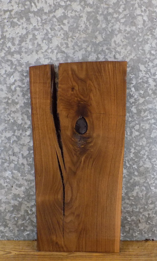 Kiln Dried Rustic Black Walnut Epoxy Project/Lumber Board 5079
