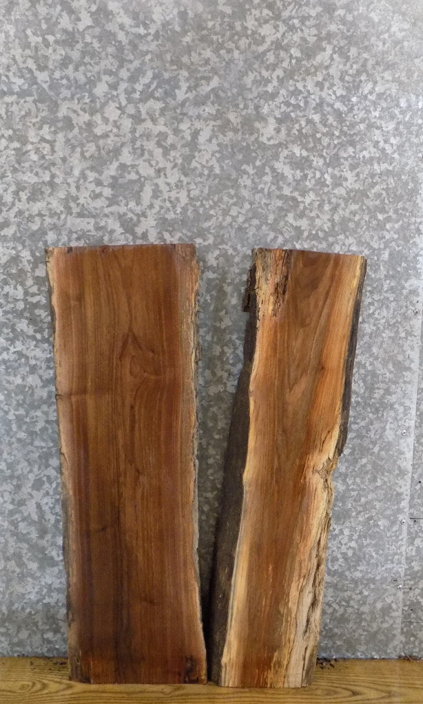 2- Natural Edge Bookmatched Black Walnut End Table Top Slabs 5080-5081