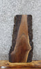 Thumbnail for Walnut Live Edge Charcuterie/Shelf Slab 5085