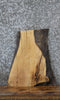 Thumbnail for Natural Edge Maple End Table Top Slab CLOSEOUT 5089