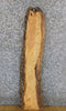 Thumbnail for Natural Edge Rustic Ash Floating Bathroom Shelf/Vanity Slab 508