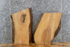 Thumbnail for 2- Live Edge Reclaimed Ash End/Accent Table Top Slabs 5092-5093