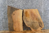 Thumbnail for 2- Live Edge Reclaimed Ash End/Accent Table Top Slabs 5092-5093