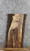 Thumbnail for Black Walnut Live Edge Charcuterie/End Table Slab 5099