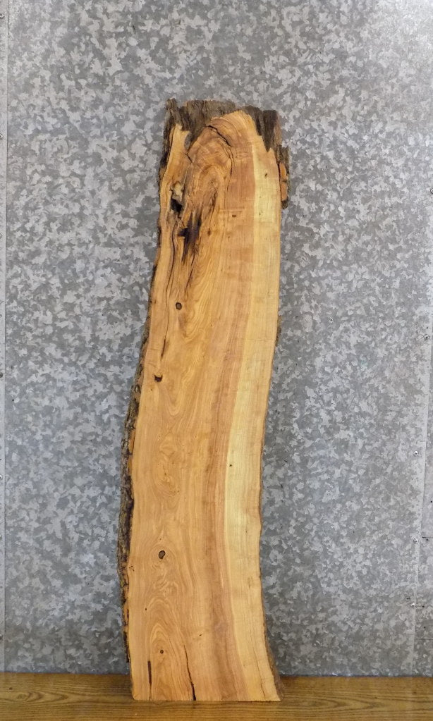 Natural Edge Salvaged Ash Floating Bathroom Shelf Slab 509