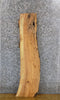 Thumbnail for Natural Edge Salvaged Ash Floating Bathroom Shelf Slab 509