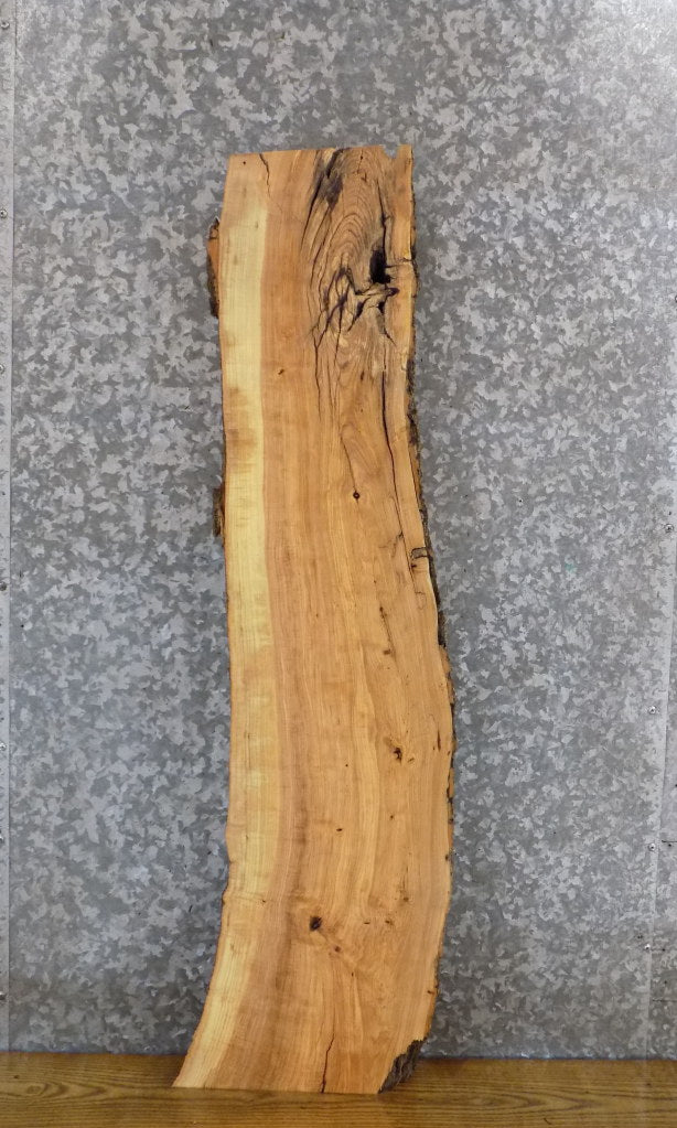 Natural Edge Salvaged Ash Floating Bathroom Shelf Slab 509
