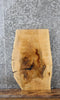 Thumbnail for Natural Edge Maple End Table Top Slab 5101