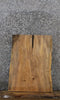 Thumbnail for Maple Live Edge End Table Slab 5106