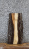 Thumbnail for Black Walnut Live Edge Charcuterie Board Slab 5106