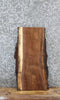 Thumbnail for Black Walnut Live Edge Charcuterie Board Slab 5106