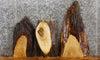 Thumbnail for 3- Salvaged Live Edge Maple Charcuterie/Taxidermy Slabs 5111-5113