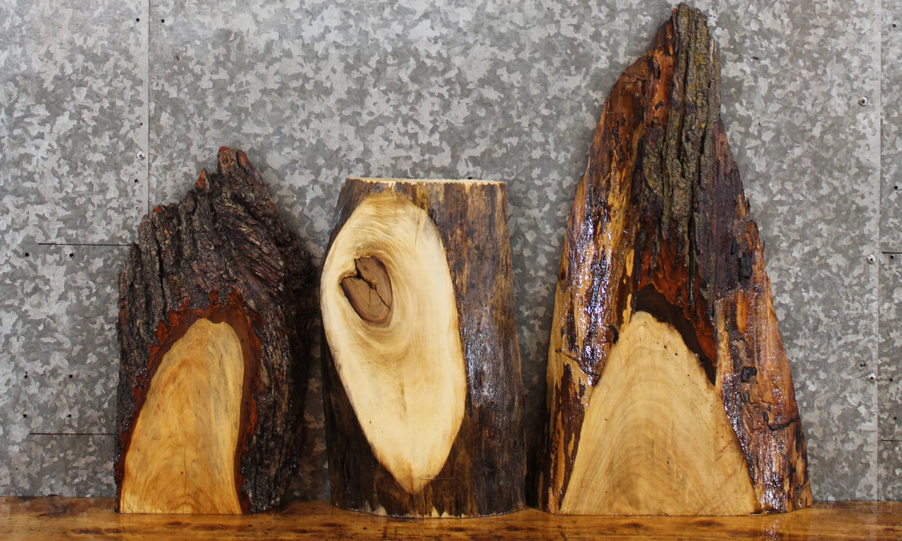 3- Salvaged Live Edge Maple Charcuterie/Taxidermy Slabs 5111-5113