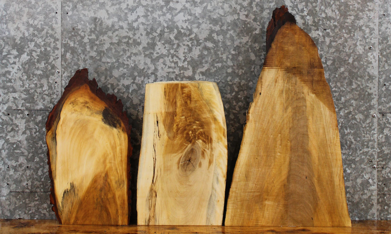 3- Salvaged Live Edge Maple Charcuterie/Taxidermy Slabs 5111-5113