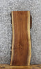 Thumbnail for Walnut Live Edge Charcuterie/Taxidermy Slab 5114