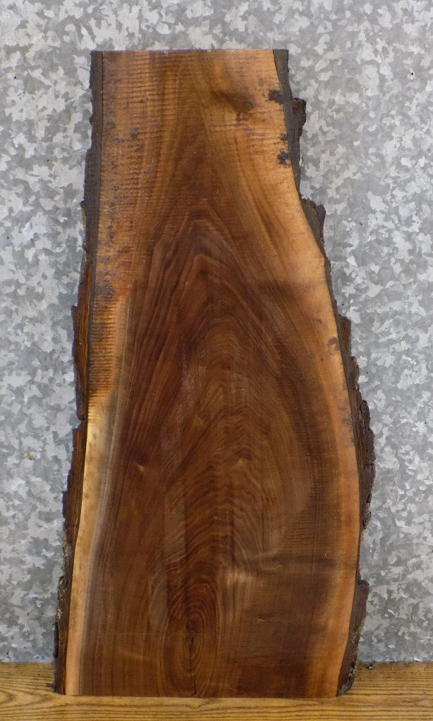 Black Walnut Live Edge Bark Rustic End/Entry Table Top Slab 5115