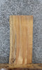 Thumbnail for Spalted Maple Live Edge End Table/Shelf Slab 5120