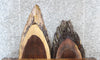 Thumbnail for 2- Live Edge Black Walnut Charcuterie Boards/End Table Slabs 5125-5126