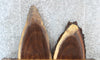 Thumbnail for 2- Live Edge Black Walnut Charcuterie Boards/End Table Slabs 5125-5126