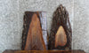 Thumbnail for 2- Live Edge Black Walnut End Table Tops/Charcuterie Boards 5127-5128