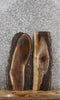 Thumbnail for 2- Black Walnut Live Edge Charcuterie/Taxidermy Slabs 5129-5130