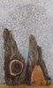 Thumbnail for 2- Rustic Live Edge Bark Black Walnut Craft Pack Wood Slabs 5134-5135