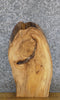 Thumbnail for Live Edge Reclaimed Elm Side/Accent Table Top Wood Slab 5136