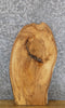 Thumbnail for Live Edge Reclaimed Elm Side/Accent Table Top Wood Slab 5136