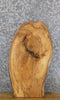 Thumbnail for Live Edge Reclaimed Elm Side/Accent Table Top Wood Slab 5136