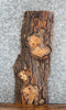 Thumbnail for Live Edge Ash Side Table Top/Wall Shelf Slab 5136