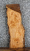 Thumbnail for Live Edge Ash Side Table Top/Wall Shelf Slab 5136