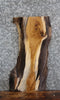Thumbnail for Live Edge White Oak Side Table Top/Taxidermy Mount 5137