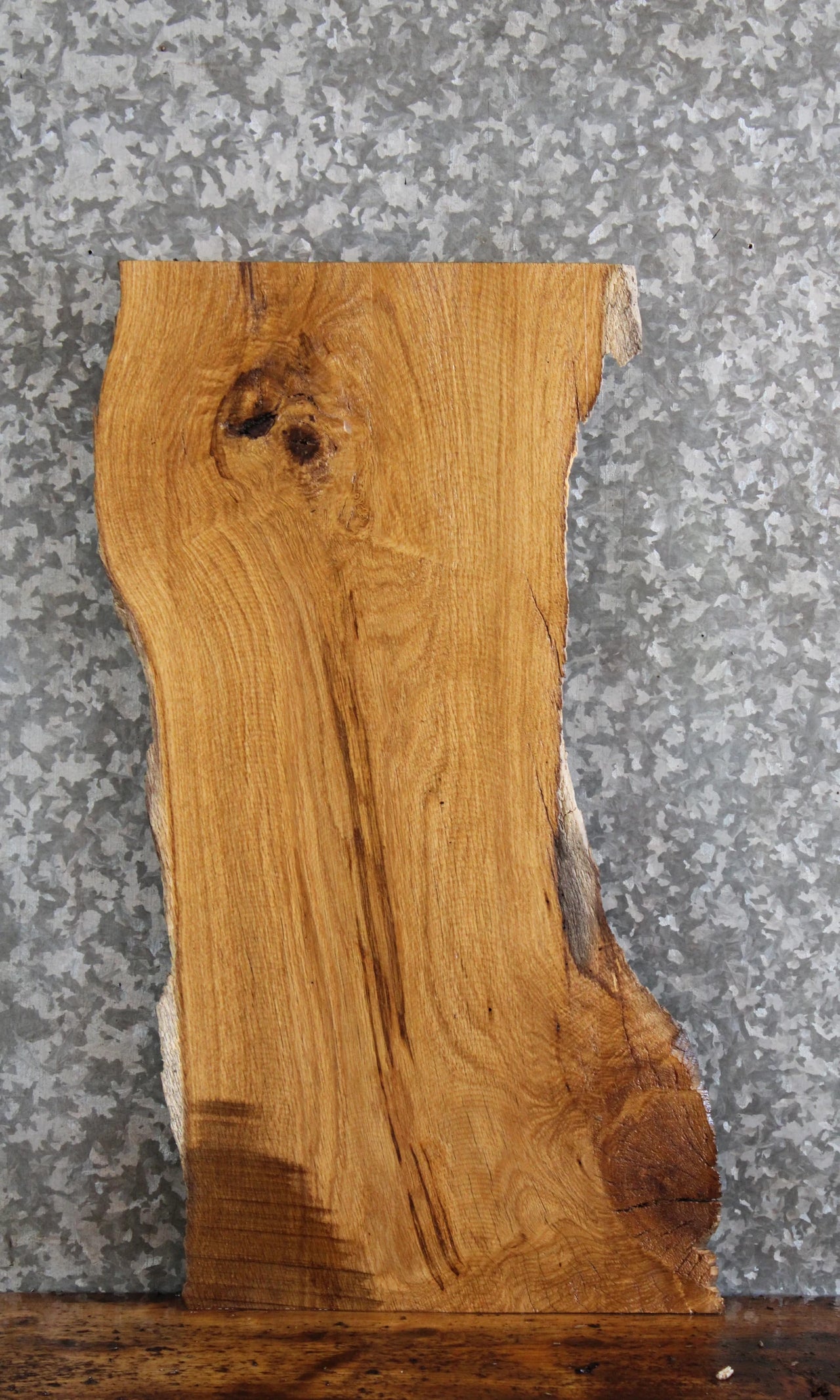 Live Edge White Oak Side Table Top/Taxidermy Mount 5137