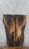 Thumbnail for Live Edge Black Walnut Coffee/Sofa Table Top Slab 5140