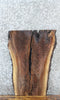 Thumbnail for Live Edge Black Walnut Coffee/Sofa Table Top Slab 5140