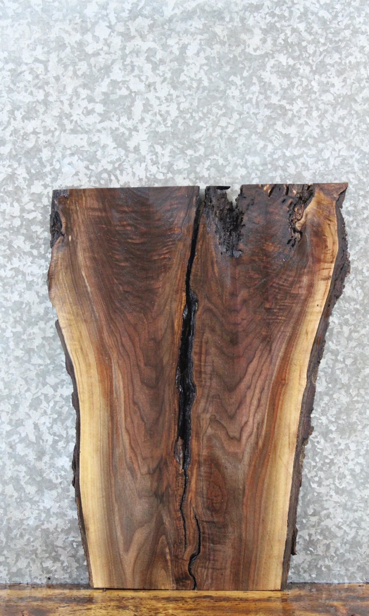 Live Edge Black Walnut Coffee/Sofa Table Top Slab 5140