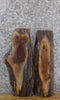 Thumbnail for 2- Black Walnut Live Edge Rustic DIY Charcuterie Boards/Slabs 5147-5148